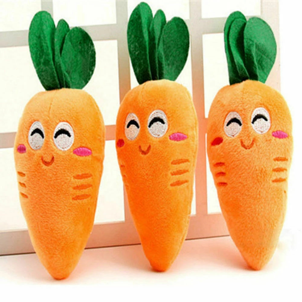 Carrot Pet Toy